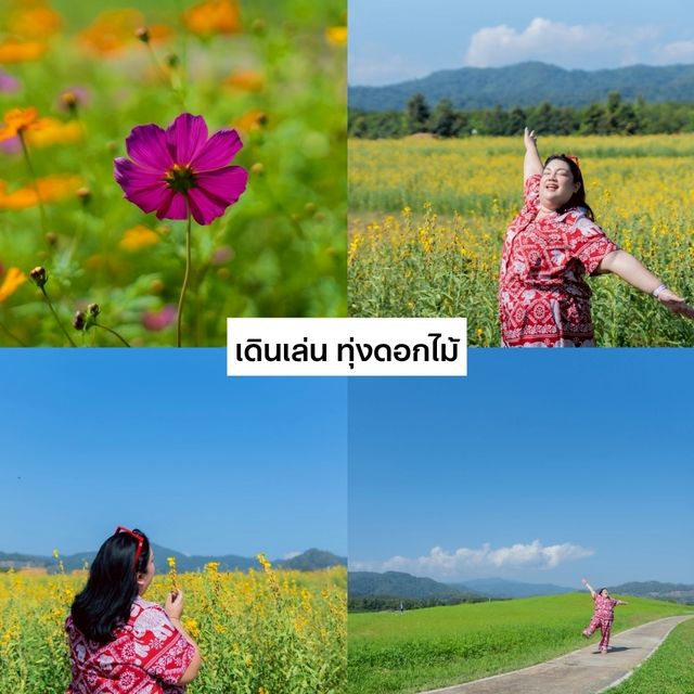 แจกแพลน เที่ยว 1 วัน ที่ สิงห์ปาร์ค เชียงราย 