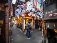 海外の人に大人気！思い出横丁🍢