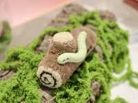 中壢中原文創園區：多肉花園與創意展覽的完美融合，這裡值得一遊