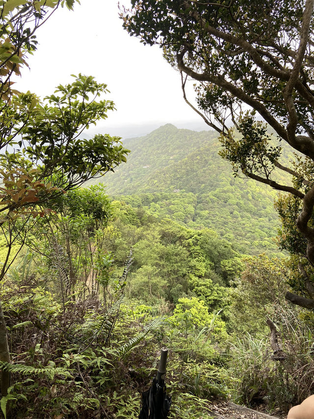 新店第一高峰-獅仔頭山｜古道遺跡探險路線推薦！