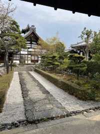 🍃 교토 텐류지(天龍寺), 마음까지 맑아지는 순간 🌸