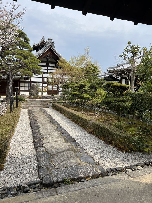 🍃 교토 텐류지(天龍寺), 마음까지 맑아지는 순간 🌸