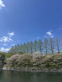 超靚😍🌸 大阪櫻花公園遊樂場 🌸 
