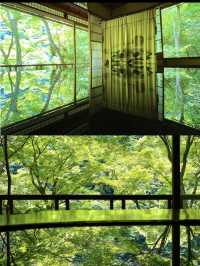 【京都】絶景リフレクション やSNSで話題のシンメトリーの丸窓