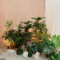 Enchanting Flavors at Eden by Wizards