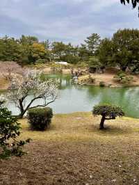 Spring Stroll Through the Timeless Beauty of Ritsurin Garden