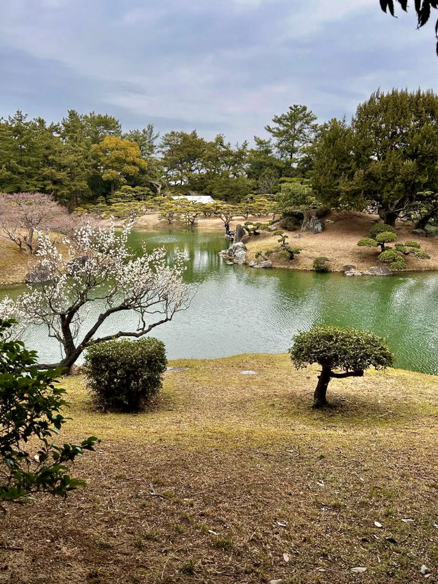 Spring Stroll Through the Timeless Beauty of Ritsurin Garden