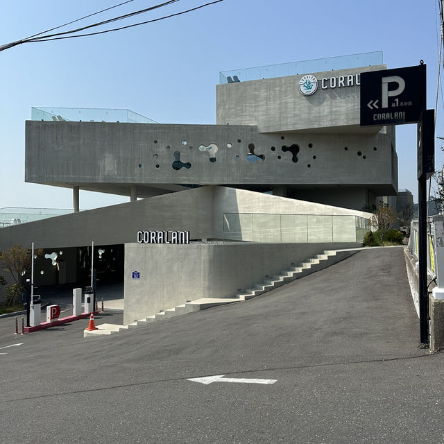 【釜山】🇰🇷 コラルラニ