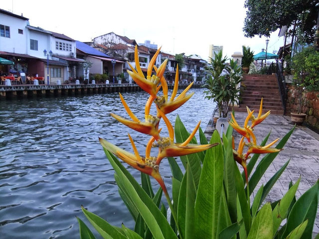 Melaka River Cruise: A Magical Journey Through Time