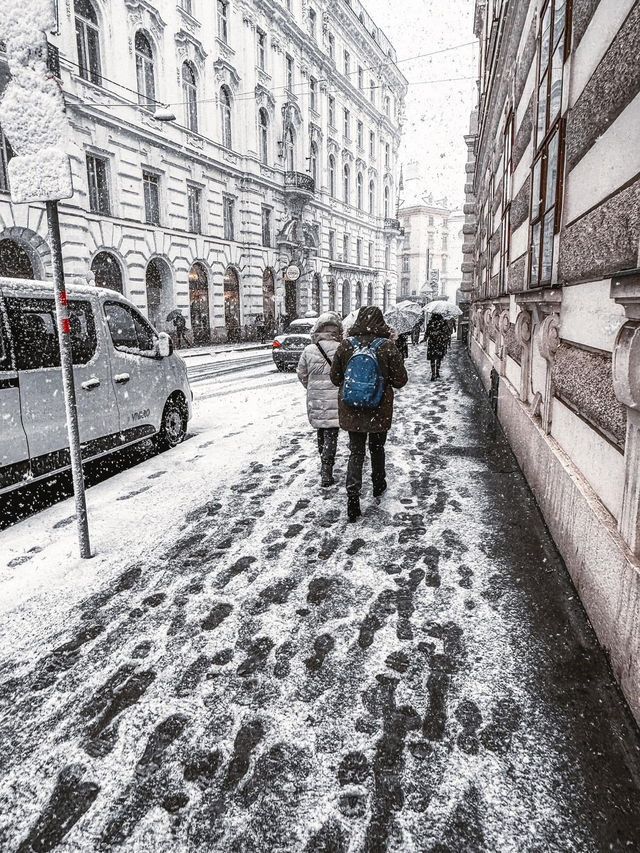 From Klimt to Christmas Lights: Vienna’s Winter Charm in 72 Hours