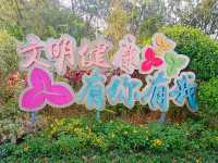 Xiangmi Park 香蜜公園