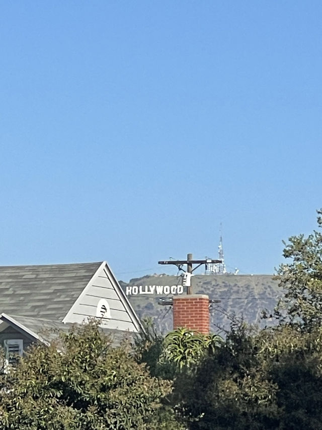 ロサンゼルスのおしゃれ壁画の宝庫メルローズ•アベニュー🇺🇸