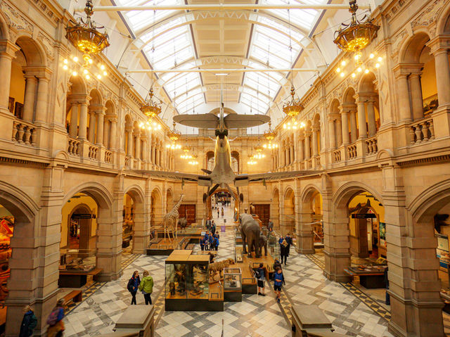 【無料とは思えぬ壮麗ミュージアム】ケルビングローブ美術館・博物館（Glasgow）🎨🦖