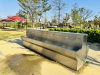 Play, Pets & Plants—Pyeongtaek Fun!