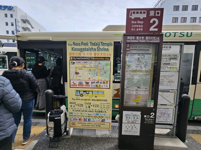 奈良~親親大自然，探訪可愛小鹿和歷史文化遺產的地方。