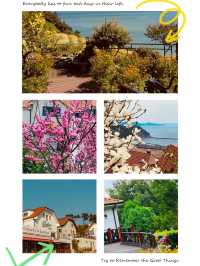 Namhae German Village in Spring: A Taste of Europe in Full Bloom  
