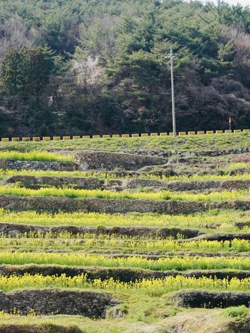 Namhae's Paradangse: An Enchanting Escape
