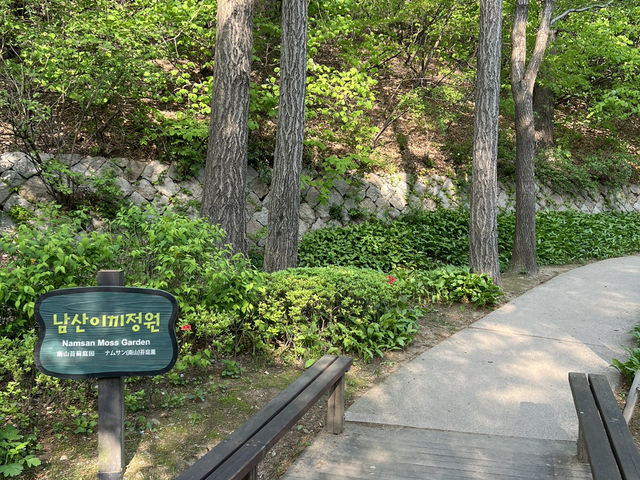 Namsan Vibes: Hike, Snap, Explore!