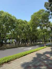 台北｜兩廳院演奏廳｜音樂與藝術的聖地