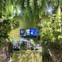 X Park Aquarium 