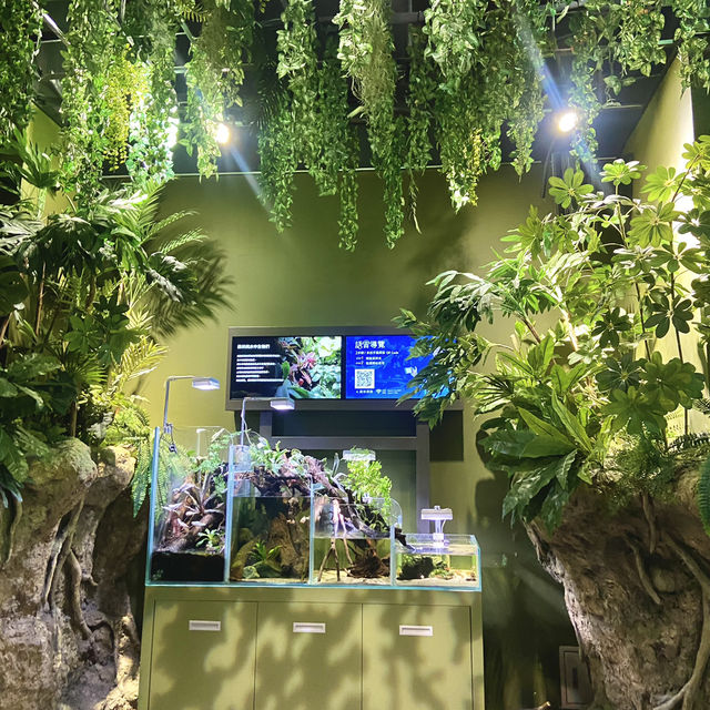 X Park Aquarium 
