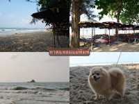 เที่ยวระยอง2วัน1คืน ฉบับ pet-friendly🐶🌊