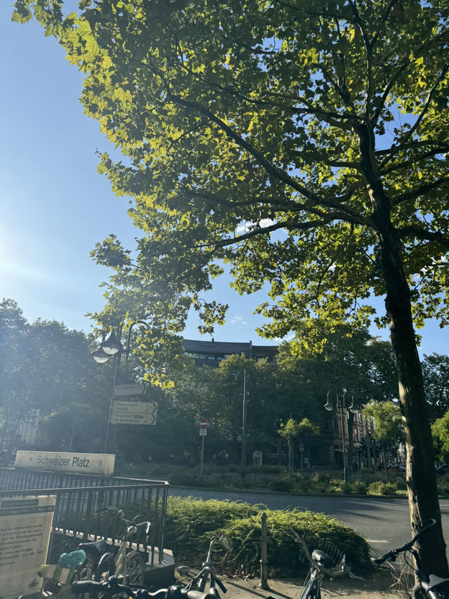 🏛️ Römer 광장, 프랑크푸르트의 역사 중심지! #프랑크푸르트여행