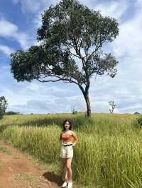 Khao Yai National Park