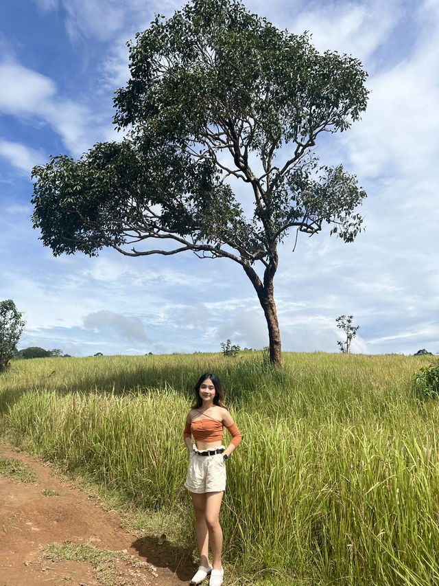 Khao Yai National Park