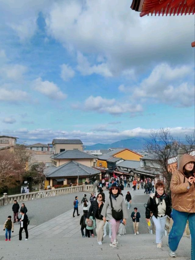 #古都的樱花之韵 #日本京都