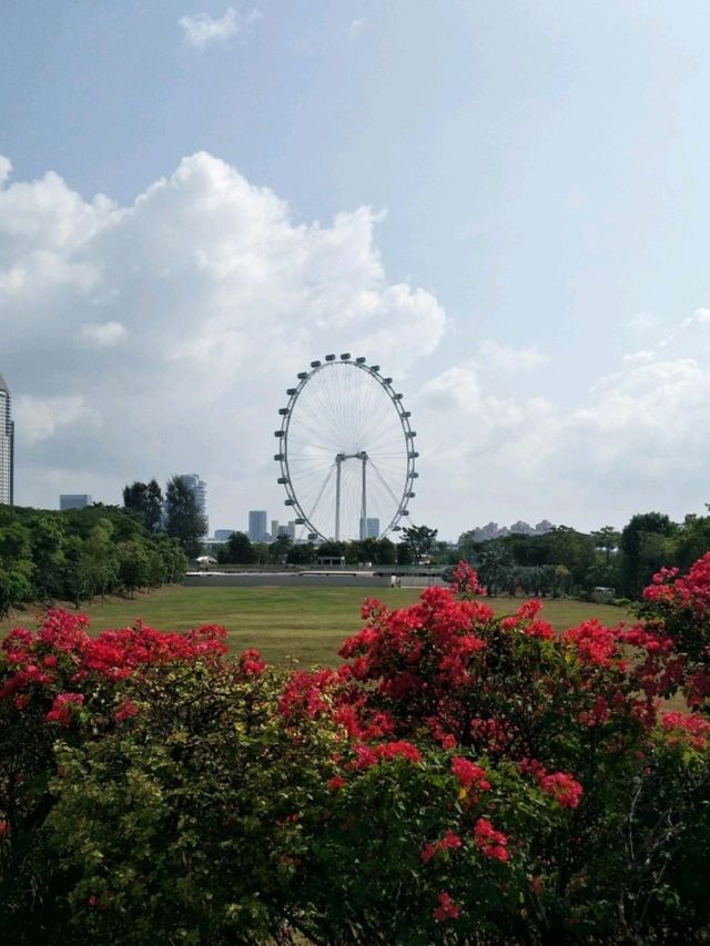 #濱海灣花園Gardens By The Bay-新加坡