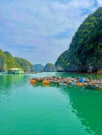 Lan Hạ