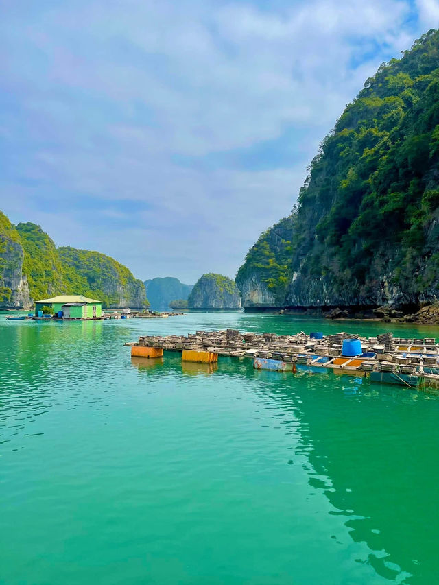 Lan Hạ