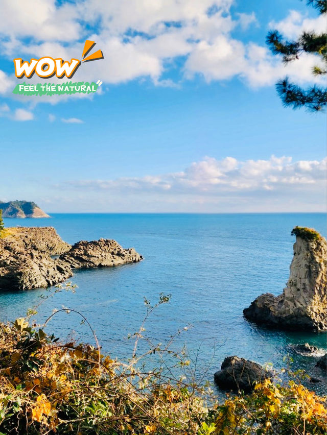 A Must-Visit Natural Wonder: Oedolgae Rock in Seogwipo