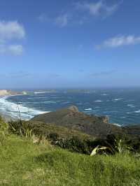 Tip of the North