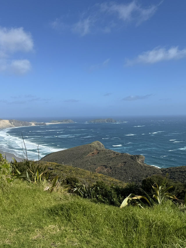 Tip of the North