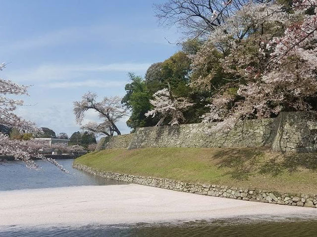 古城彥根一日遊
