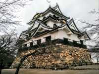 #彥根城-日本滋賀縣彥根市