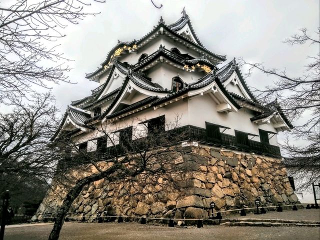 #彥根城-日本滋賀縣彥根市
