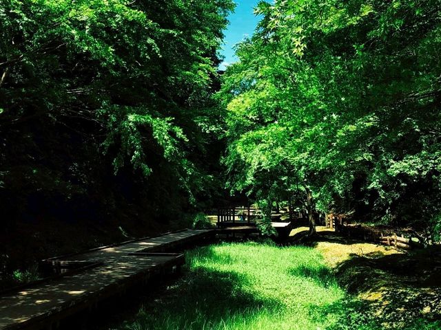 Kameiwa Cave อุโมงค์คะเมะอิวะ 