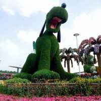 Springtime in Dubai's Miracle Garden: A Floral Wonderland