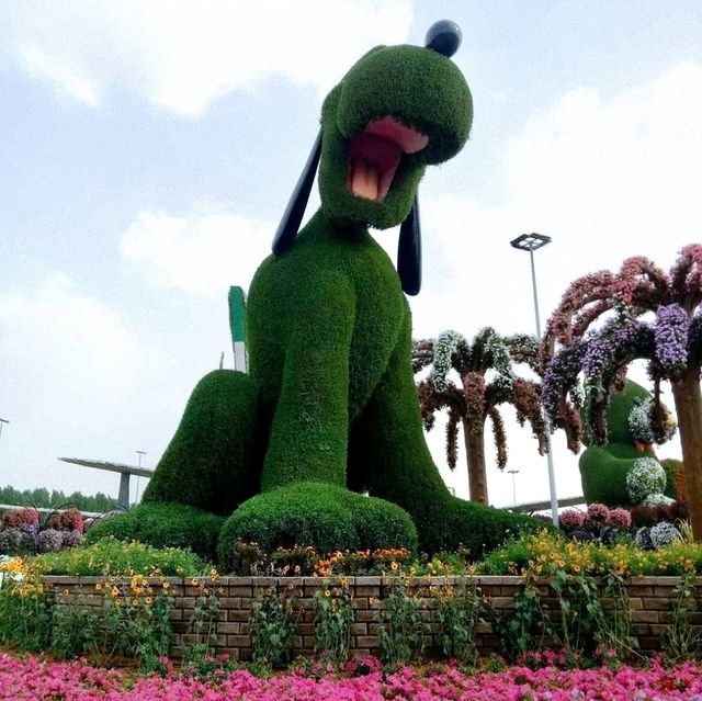 Springtime in Dubai's Miracle Garden: A Floral Wonderland