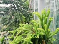 DC's April Botanical Haven