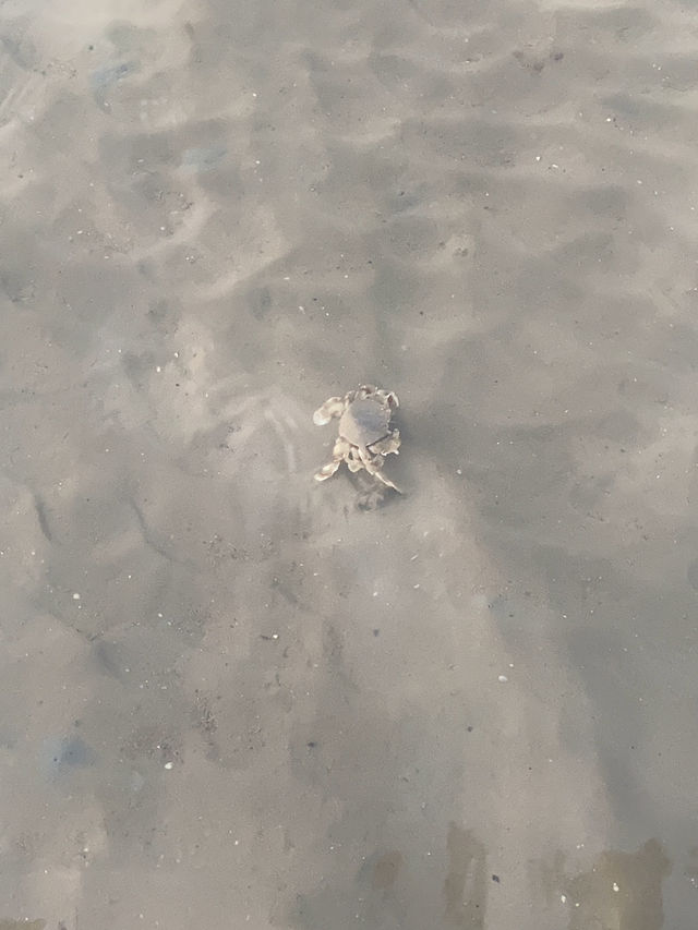 จุดชมวิวพระอาทิตย์ตก ชายหาดอ่าวนาง กระบี่
