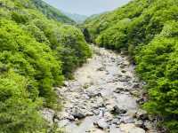 Retreat at Jangnyeongsan Natural Recreation Forest