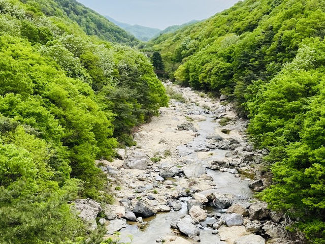 Retreat at Jangnyeongsan Natural Recreation Forest