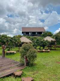 คาเฟ่เขาใหญ่ท่ามกลางภูเขา🌳🪵