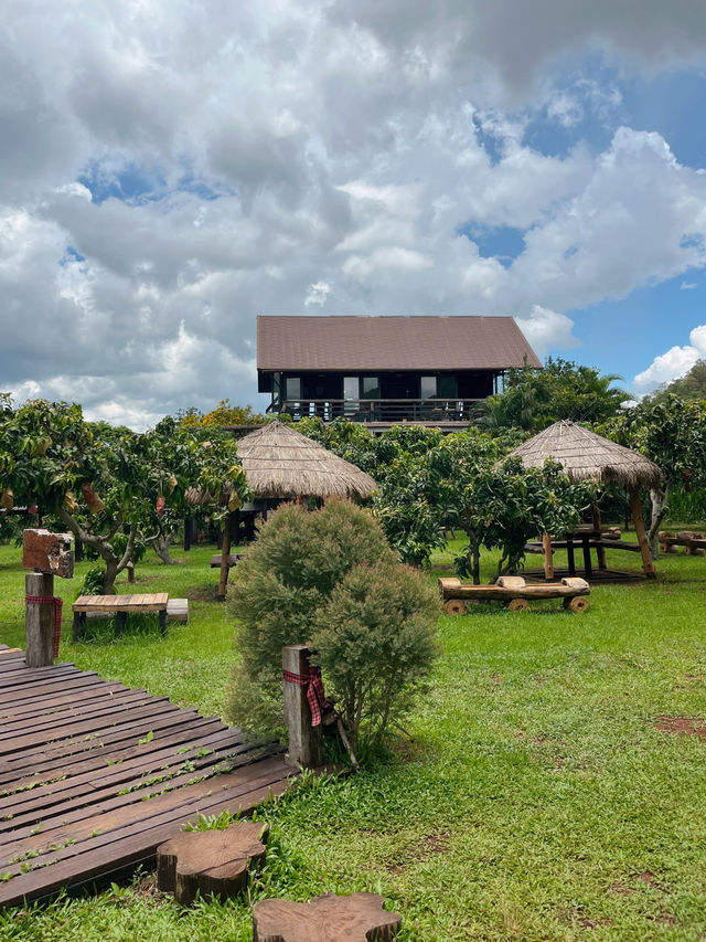 คาเฟ่เขาใหญ่ท่ามกลางภูเขา🌳🪵