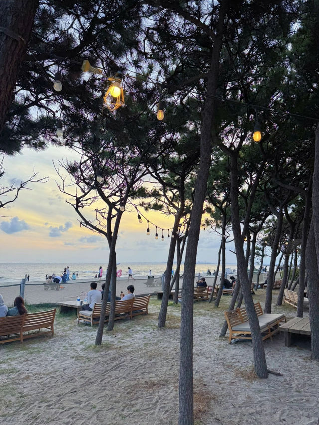 今年の夏はここ行って！リゾート感満載の東京からすぐ行けるおしゃれ海外風ビーチ☺️🏖【千葉・稲毛】