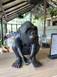 คาเฟ่ในป่าภูเก็ต